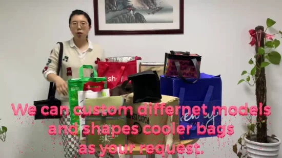 Fabricación de China al por mayor del bolso del refrigerador del almuerzo termal aislado no tejido personalizado de 6 paquetes